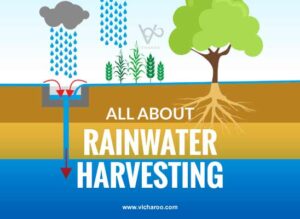 Rainwater harvesting advantages, disadvantages, process illustration