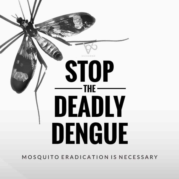 Dengue Awareness Slogans | National Dengue Day