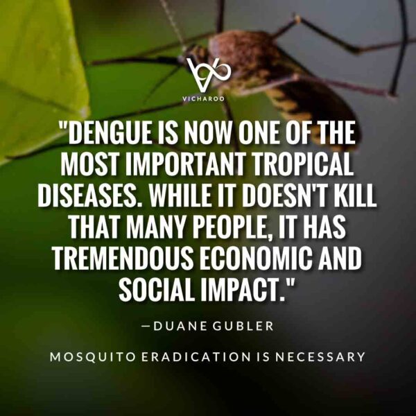 Dengue Awareness Quotes | National Dengue Day