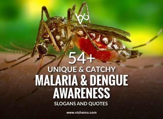 Mosquito, Malaria & Dengue Awareness Slogans & Quotes | World Malaria Day