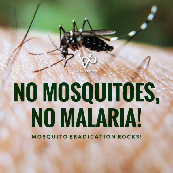 Malaria Awareness Slogans and Quotes | World Malaria Day