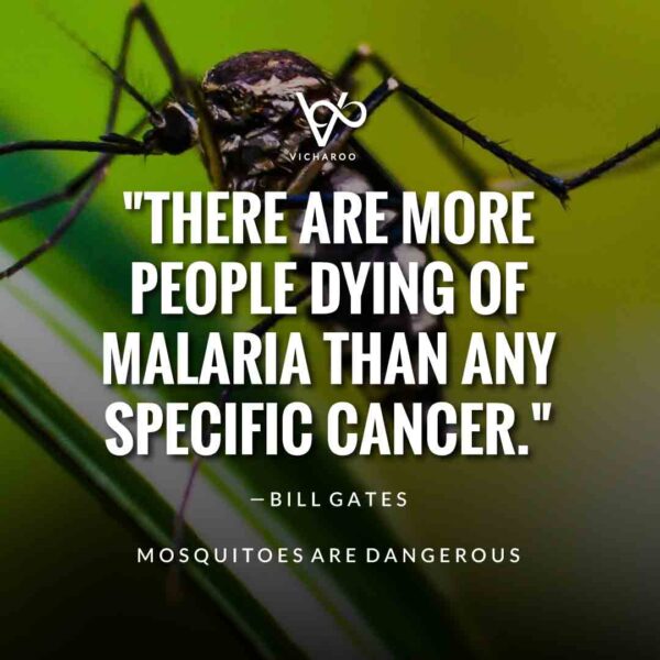 Malaria Awareness Slogans and Quotes | Anti Malaria Month