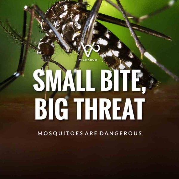 Mosquito Eradication Awareness Slogans | World Mosquito Day