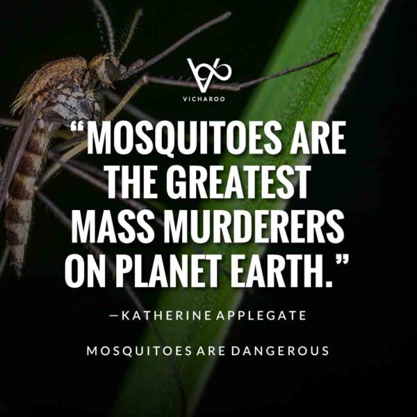 Mosquito Eradication Awareness campaign Quotes | World Mosquito Day