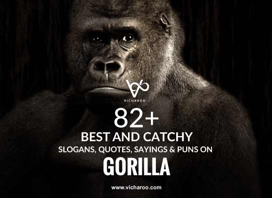 82+ Catchy Gorilla Day Quotes, Puns & Sayings – Vicharoo