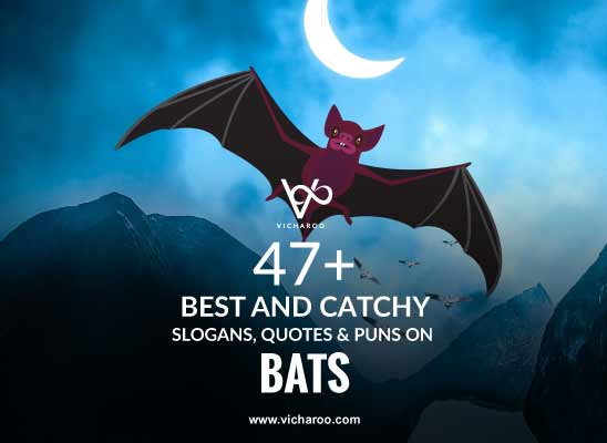 47+ Catchy Bat Day Slogans, Quotes, Puns & Sayings – Vicharoo